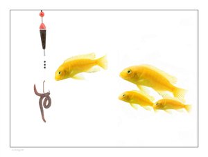 性能优化